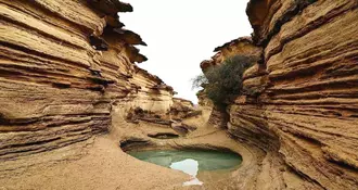 تور 3 شب و 4 روز قشم آذرماه 1404